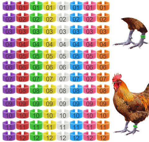 Keedolla eight-color leg rings shown for quick flock tagging