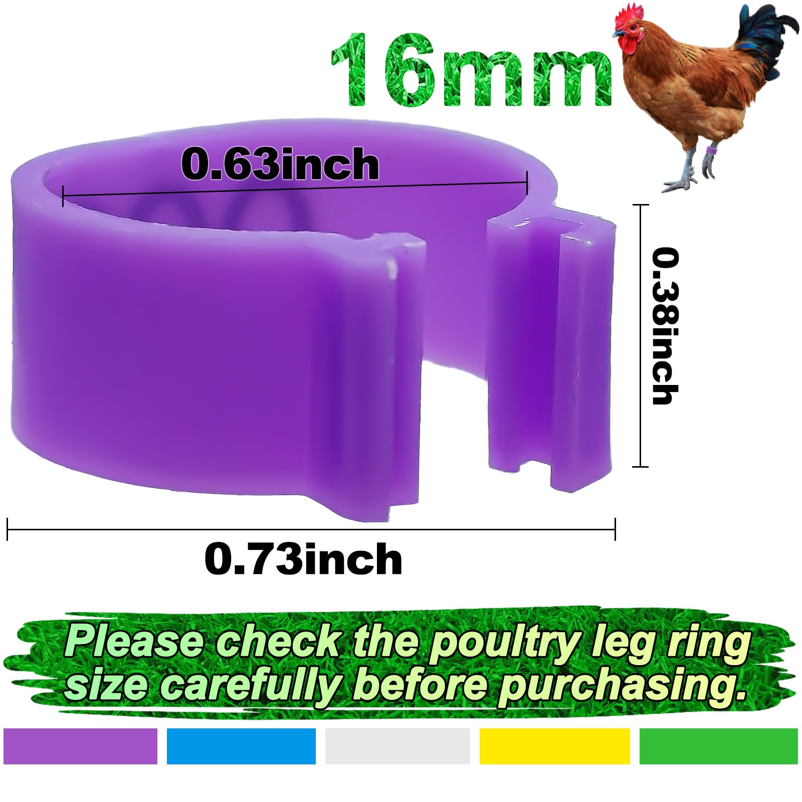 Keedolla numbered leg rings 01–12 for precise bird ID