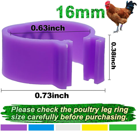Keedolla numbered leg rings 01–12 for precise bird ID