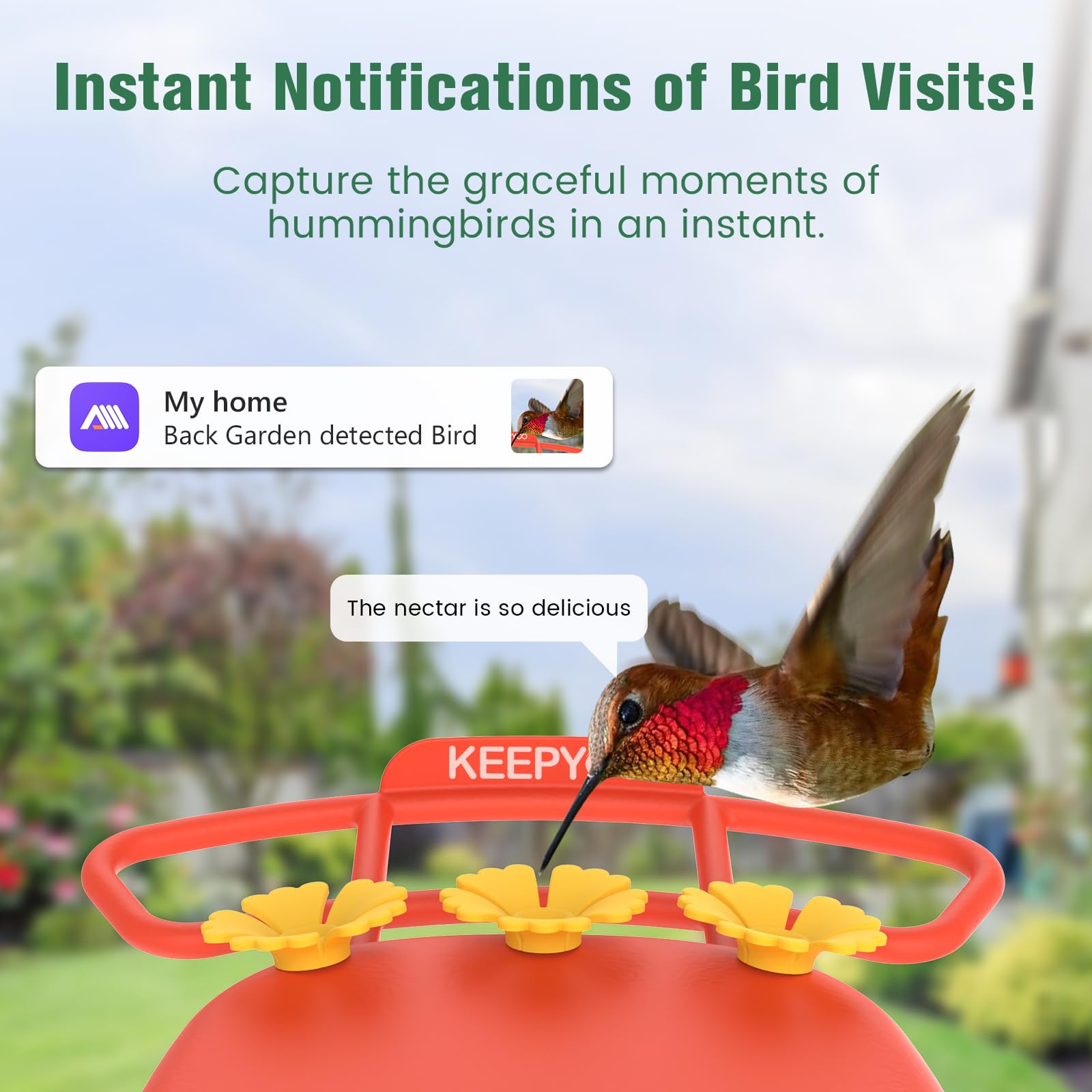 KEEPYOO feeder at night with infrared view for night observations