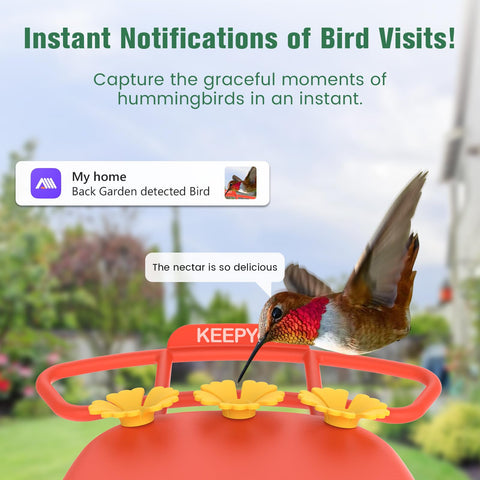 KEEPYOO feeder at night with infrared view for night observations
