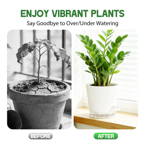 KEETUMOOD drainage holes and transparent saucers prevent overwatering