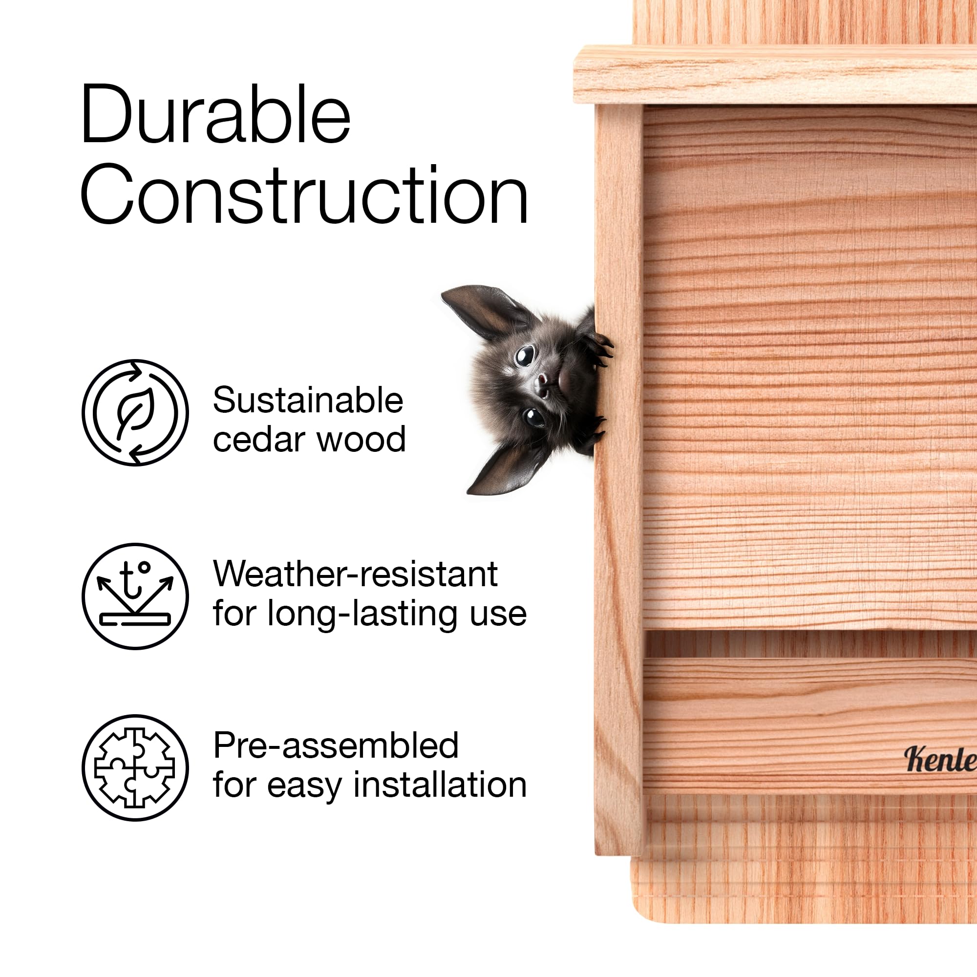 Kenley bat box with hanger hook demonstrates simple wall or pole mounting.