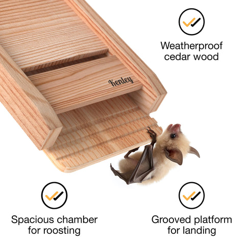 Kenley bat-box landing platform highlights easy roosting for visiting bats.