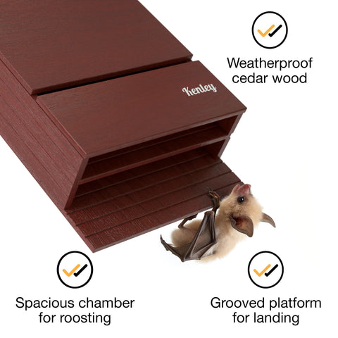 Kenley Bat House landing platform texture aids easy landings for visiting bats.