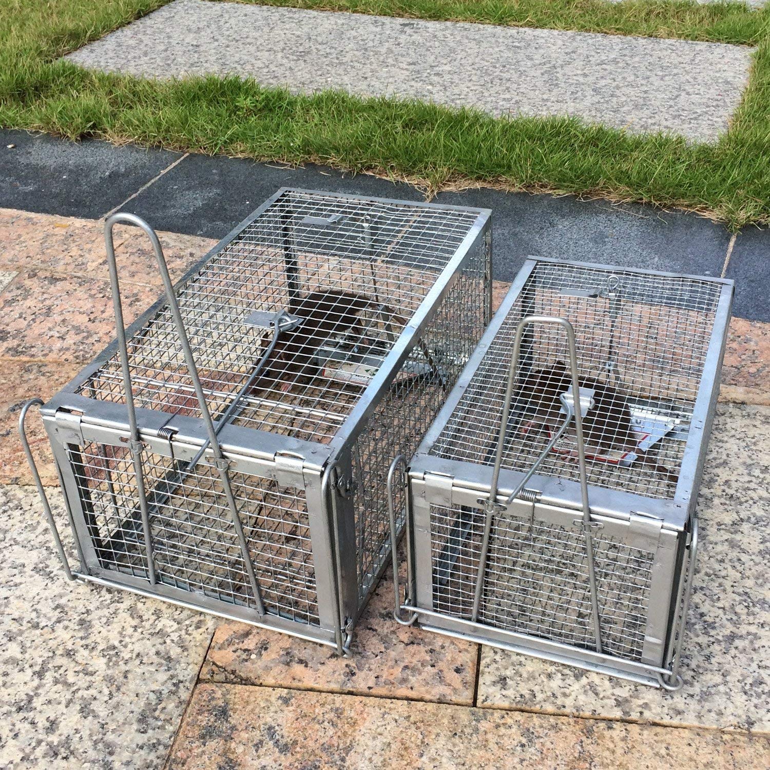 Kensizer trap packaging and guide illustrate simple setup for home use.