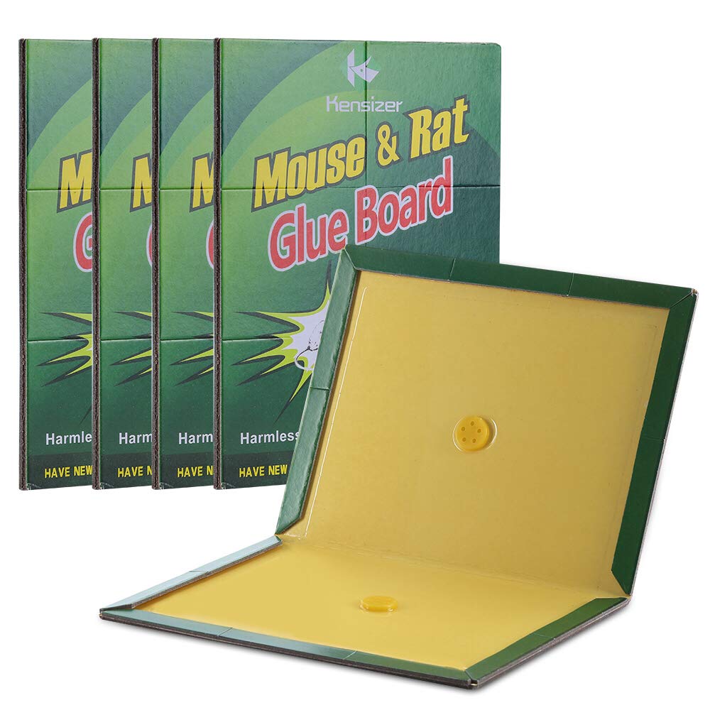Kensizer glue trap with a large adhesive surface ready for rapid rodent capture.