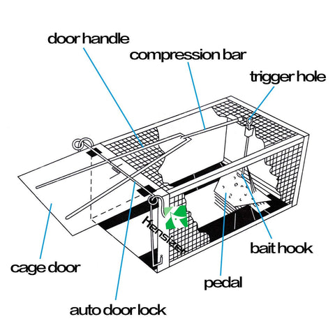 Kensizer live catch-release trap enables humane relocation of small animals