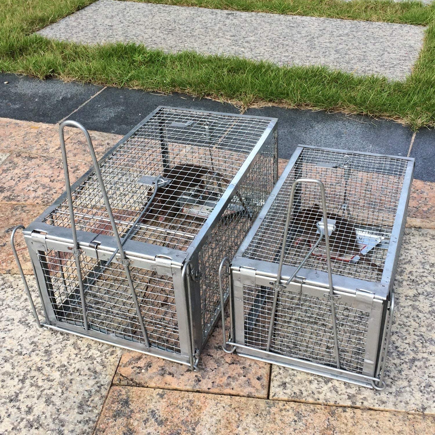 Kensizer outdoor-trap-usage demonstrates reliable pest management in gardens