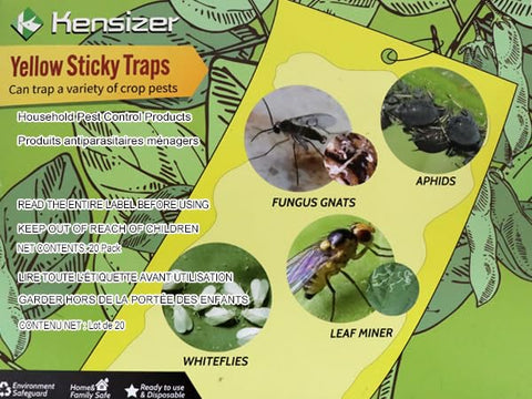 Kensizer yellow sticky trap close-up shows dual-sided surface for more captures.