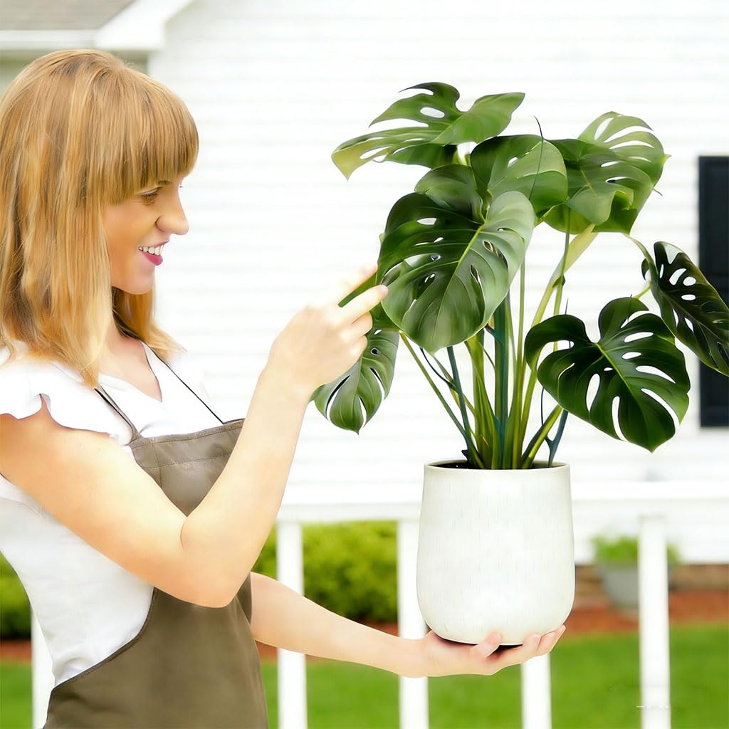 Keoferlo easy assembly plant support for versatile use