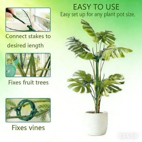 Keoferlo orchid climbing stake supports top-heavy blooms