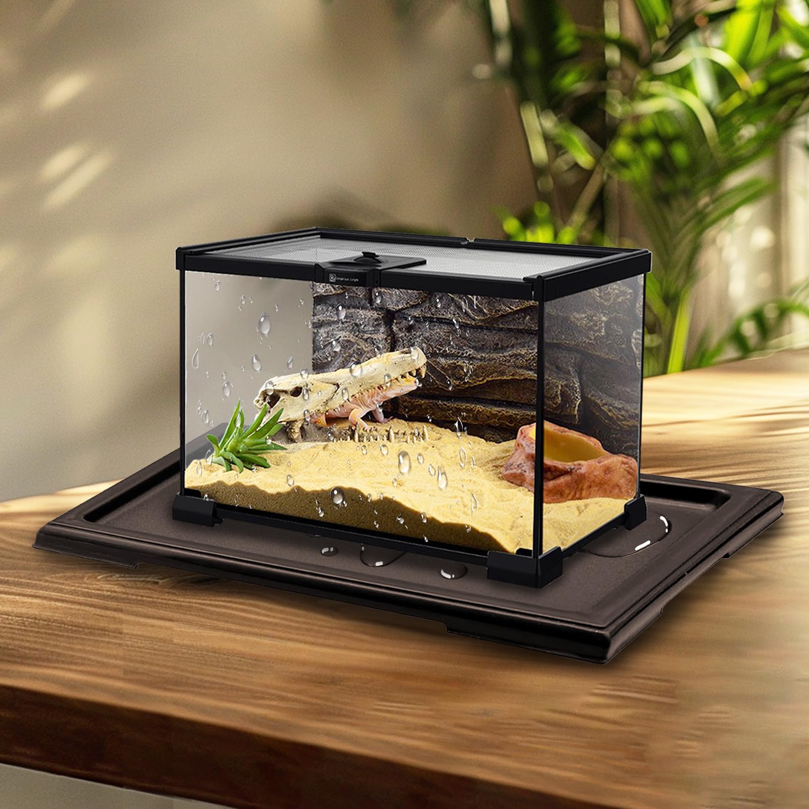 KEOHOLI trays suitable indoors or outdoors and decoratively tidy.