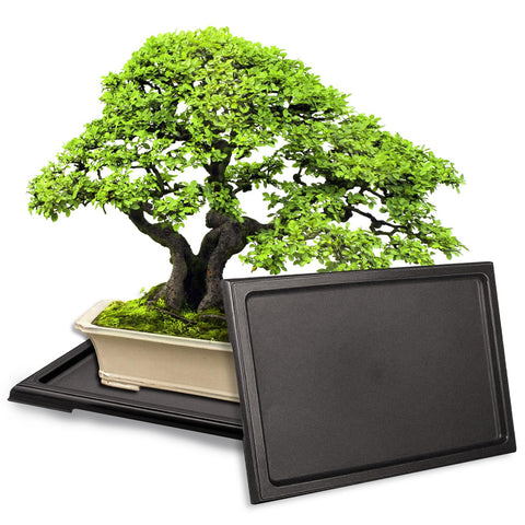 KEOHOLI bonsai tray 2-pack shows large outer dimensions and protects surfaces.
