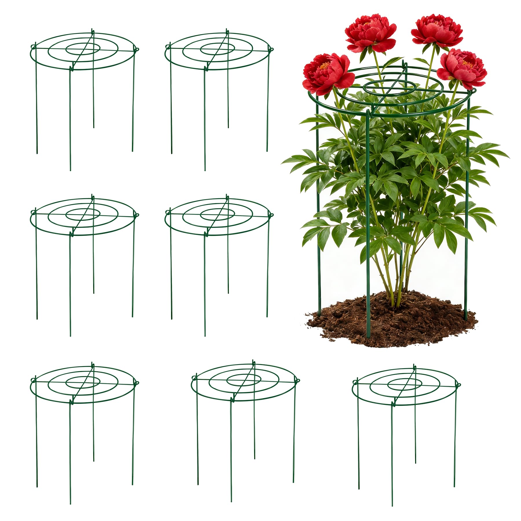 KEOHOLI peony cages with 11.5-inch ring provide sturdy bloom support.
