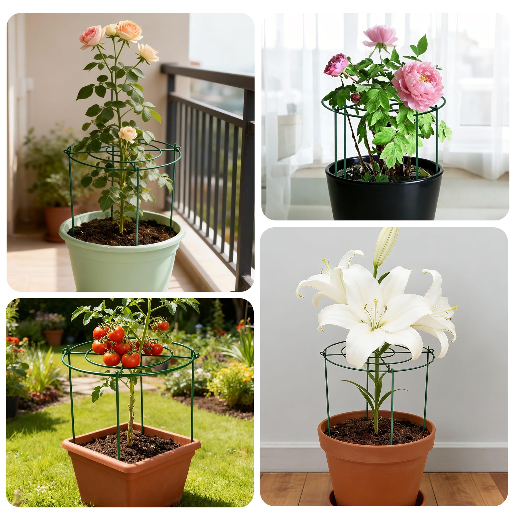 KEOHOLI heavy-duty garden cages stabilize tall blooms in storms.