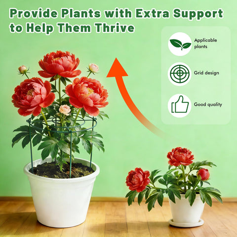 KEOHOLI peony cages keep stems upright during heavy growth.