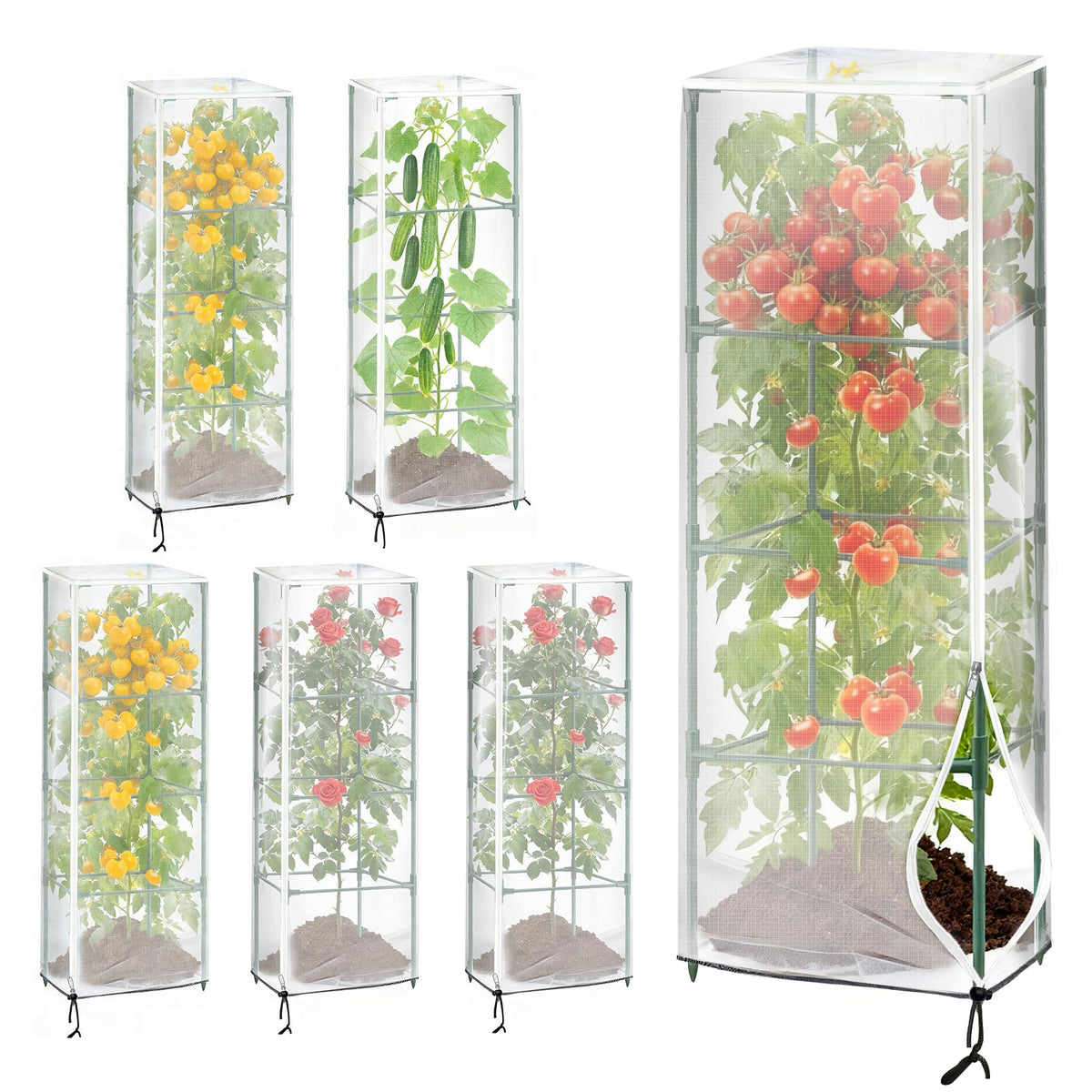 KEOHOLI square tomato cage covers six-pack protecting crops with breathable mesh.