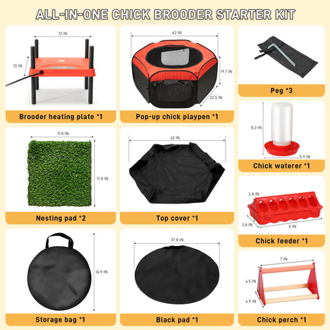 Kerty adjustable brooder plate providing precise warmth for growing chicks