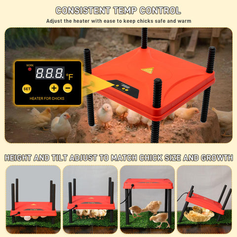 Kerty anti-drowning waterer supports safe hydration for multiple chicks