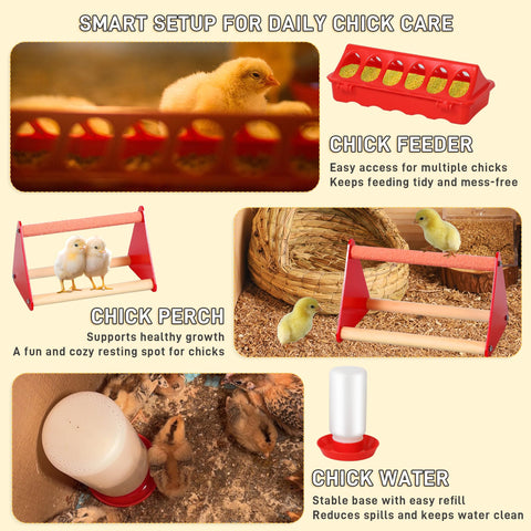 Kerty 12-hole feeder keeps food accessible with reduced waste