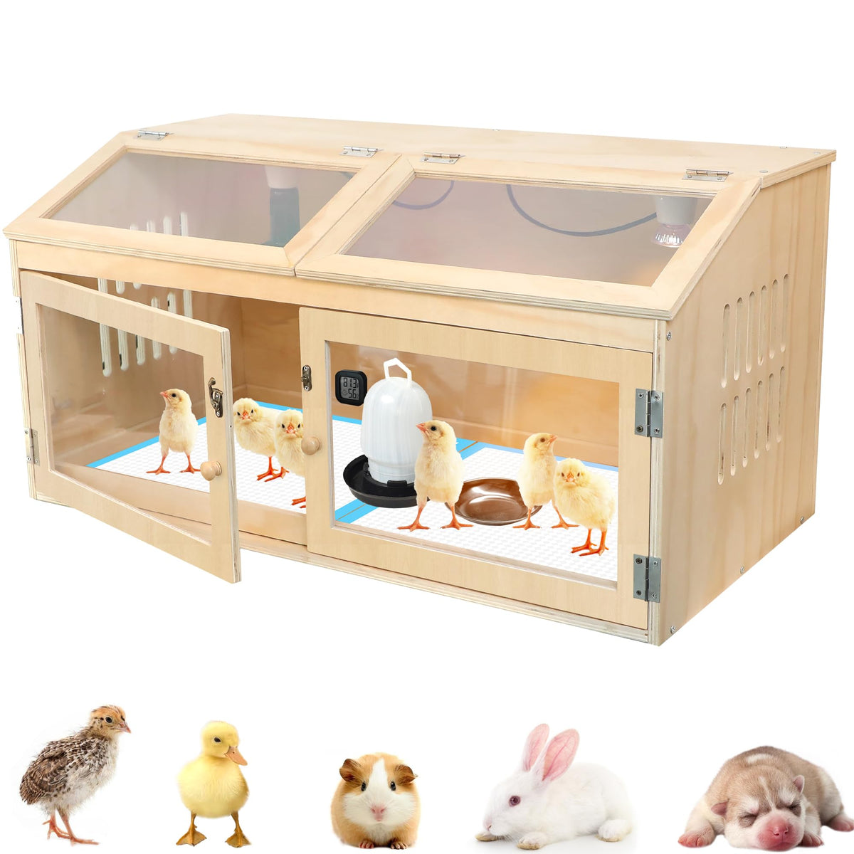 Kerty chicken brooder box front view highlights sturdy wood construction and safe access.