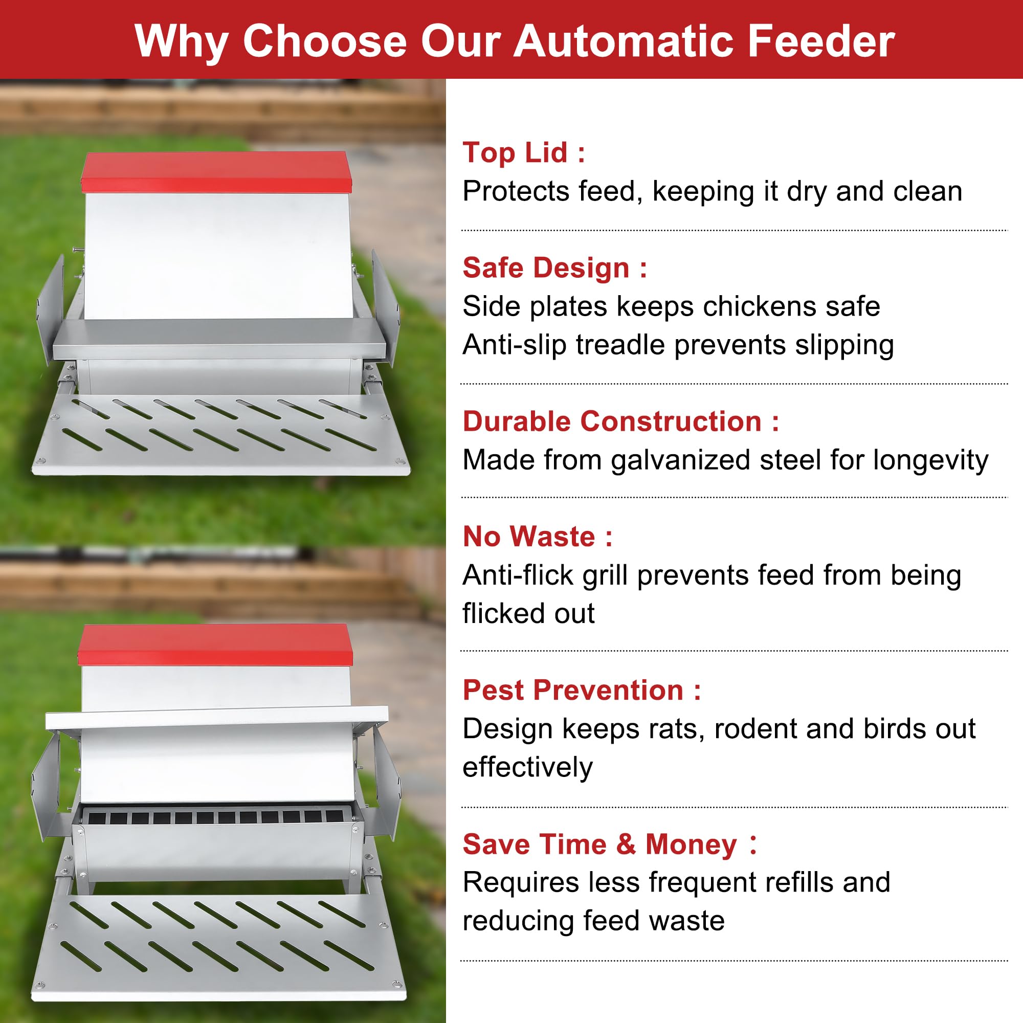 Kerty rodent-proof poultry feeder helps keep feed clean in outdoor runs