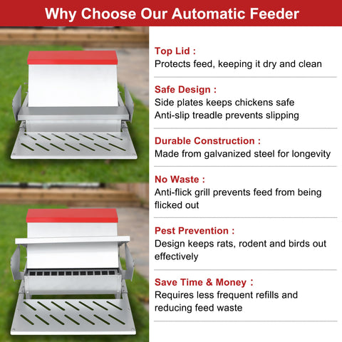 Kerty rodent-proof poultry feeder helps keep feed clean in outdoor runs