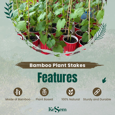 KESEM bamboo stakes used as kebab skewers for casual grilling.