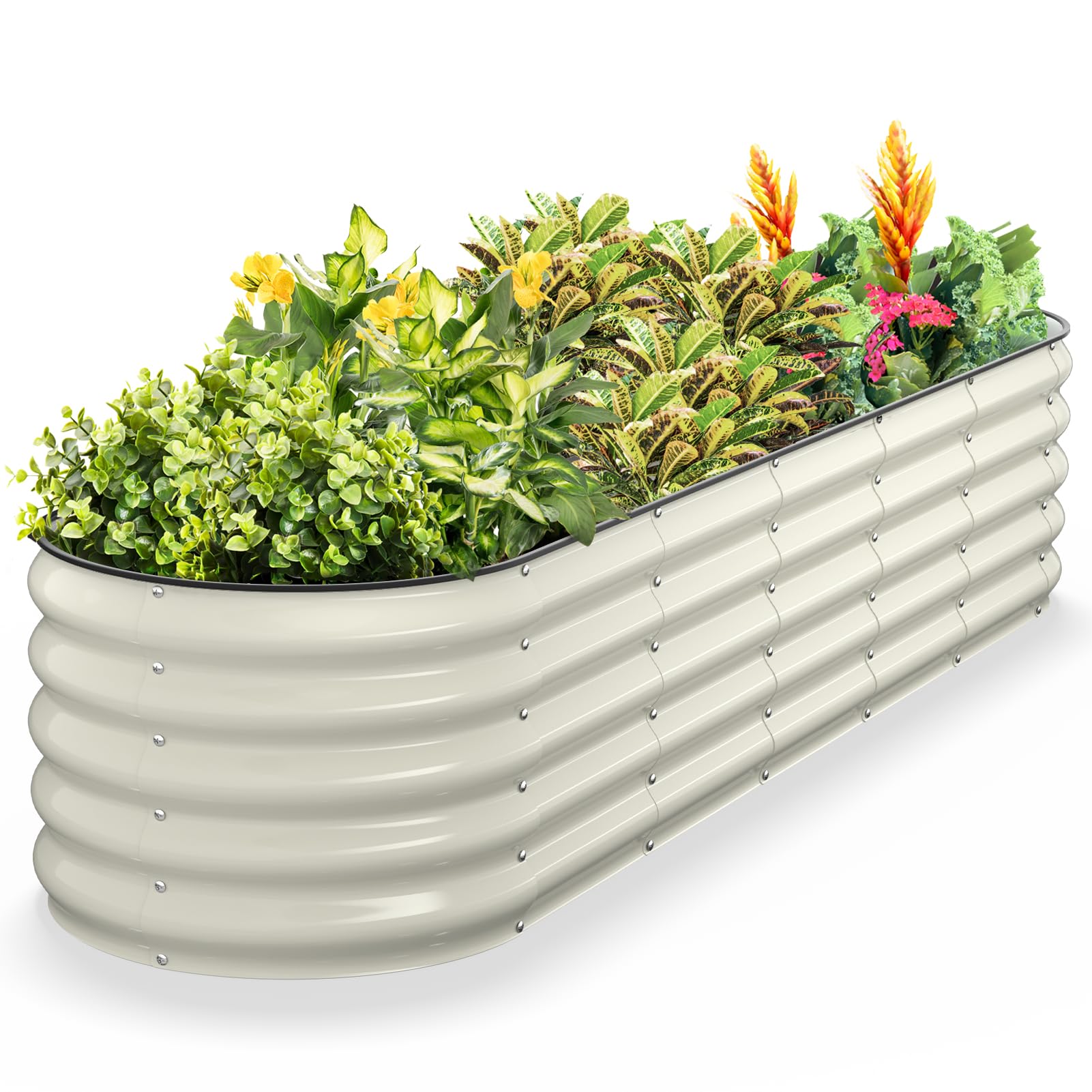Kesfitt oval garden bed outer view shows sturdy galvanized steel for durable outdoor growing.