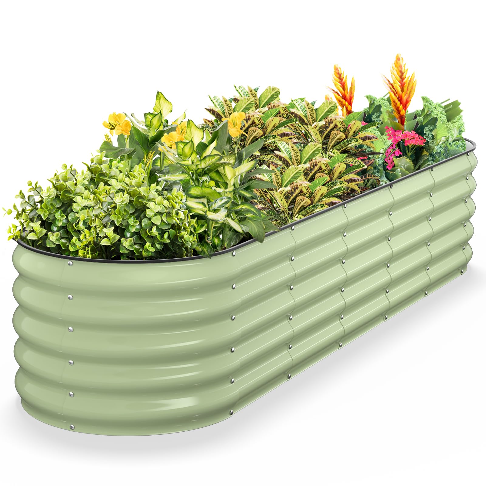 Kesfitt raised garden bed oval, 8ft long, ideal for long vegetable rows.
