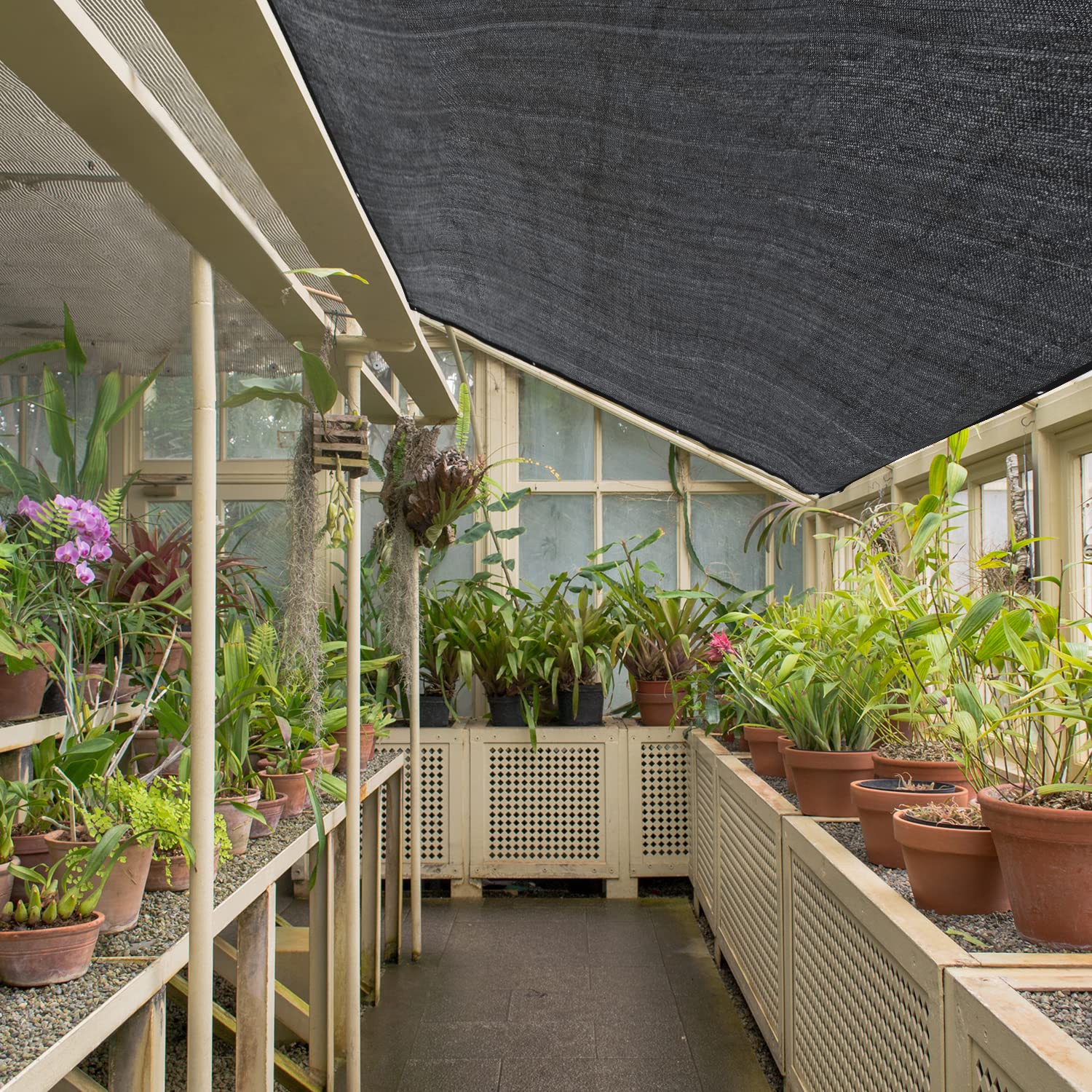 Keten greenhouse shade cloth protecting plants from harsh sun.