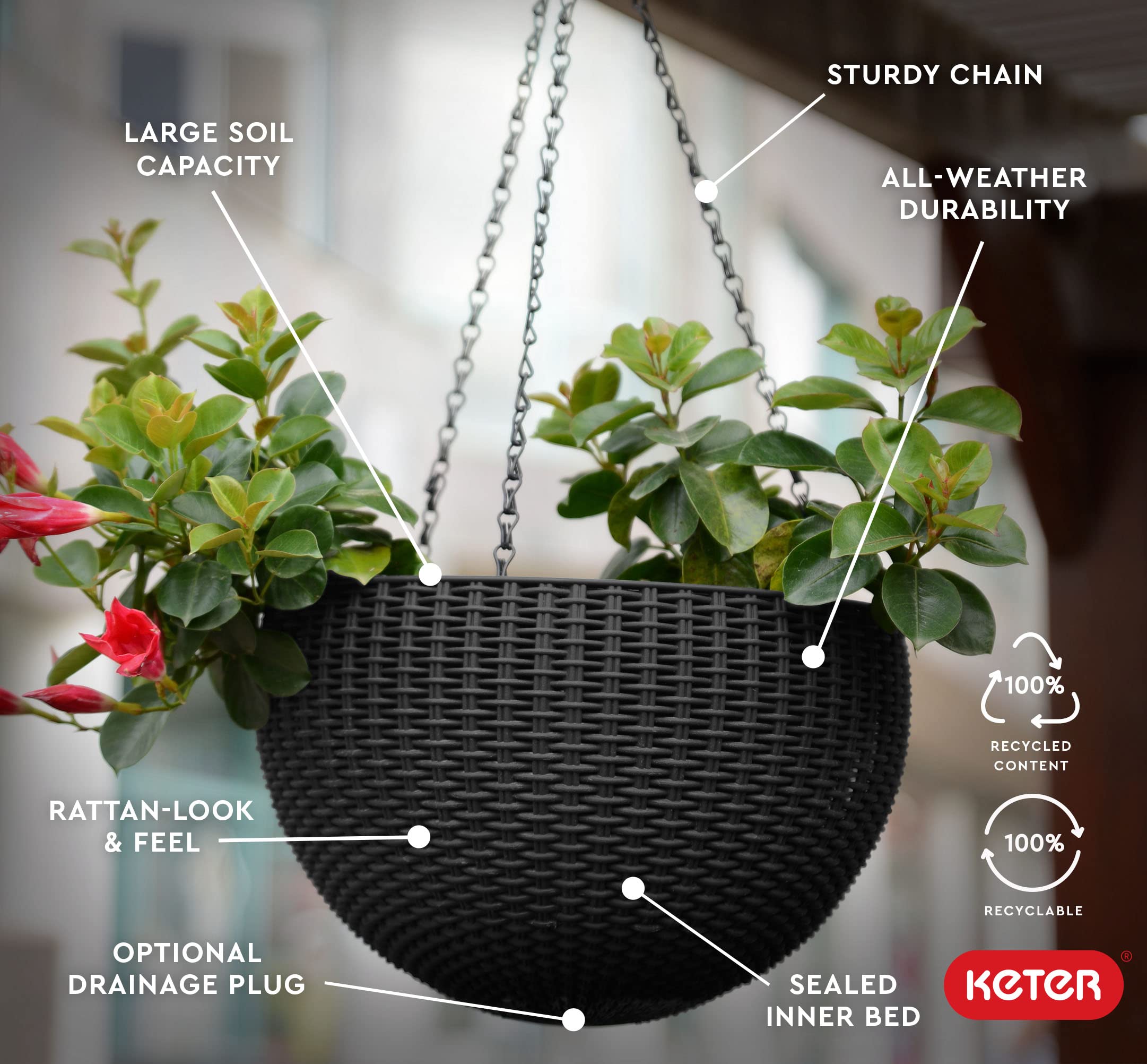Keter resin basket on a hook for space-saving greenery