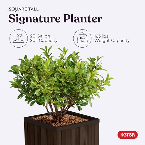 Keter Signature Square Planter optional drainage holes for healthy roots