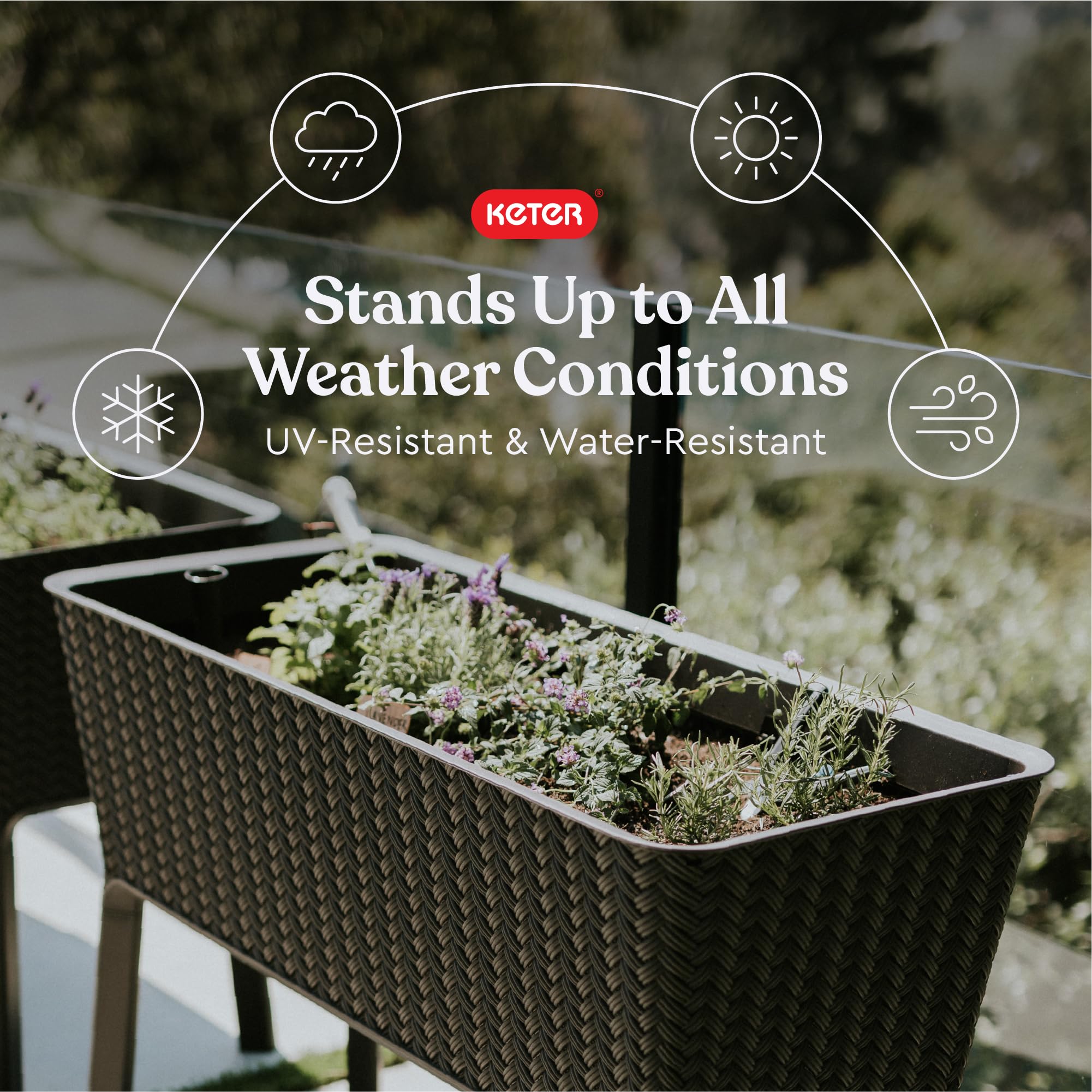Keter Splendor self-watering reservoir demonstrates convenient moisture management.