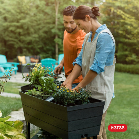 Keter Urban Bloomer seed starting tray included for quick setup
