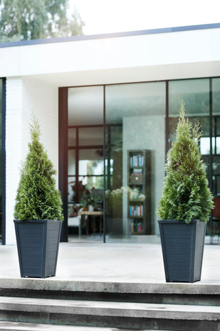 Keter wood-look tapered planter graphite on deck for greenery display.