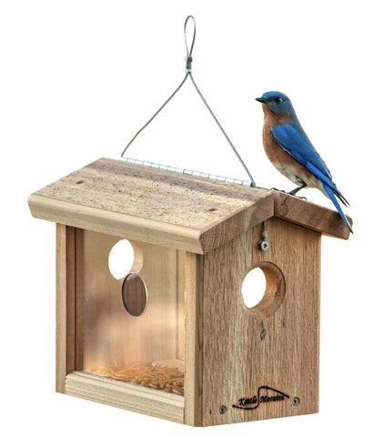 Kettle Moraine cedar hanging bluebird mealworm feeder for easy garden feeding