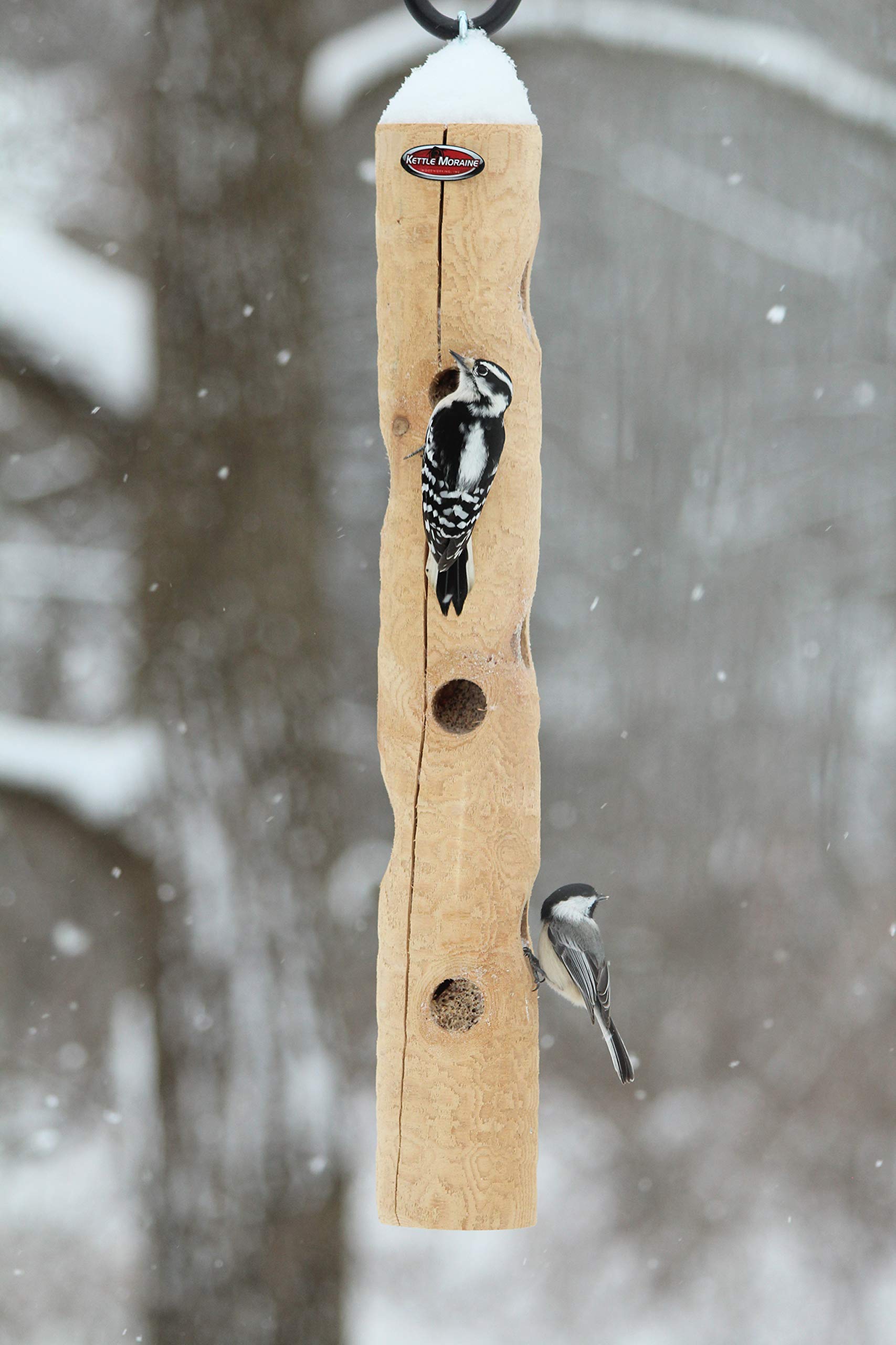 Kettle Moraine cedar log feeder attracting woodpeckers and chickadees