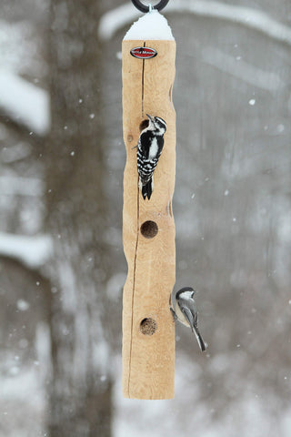 Kettle Moraine cedar log feeder attracting woodpeckers and chickadees