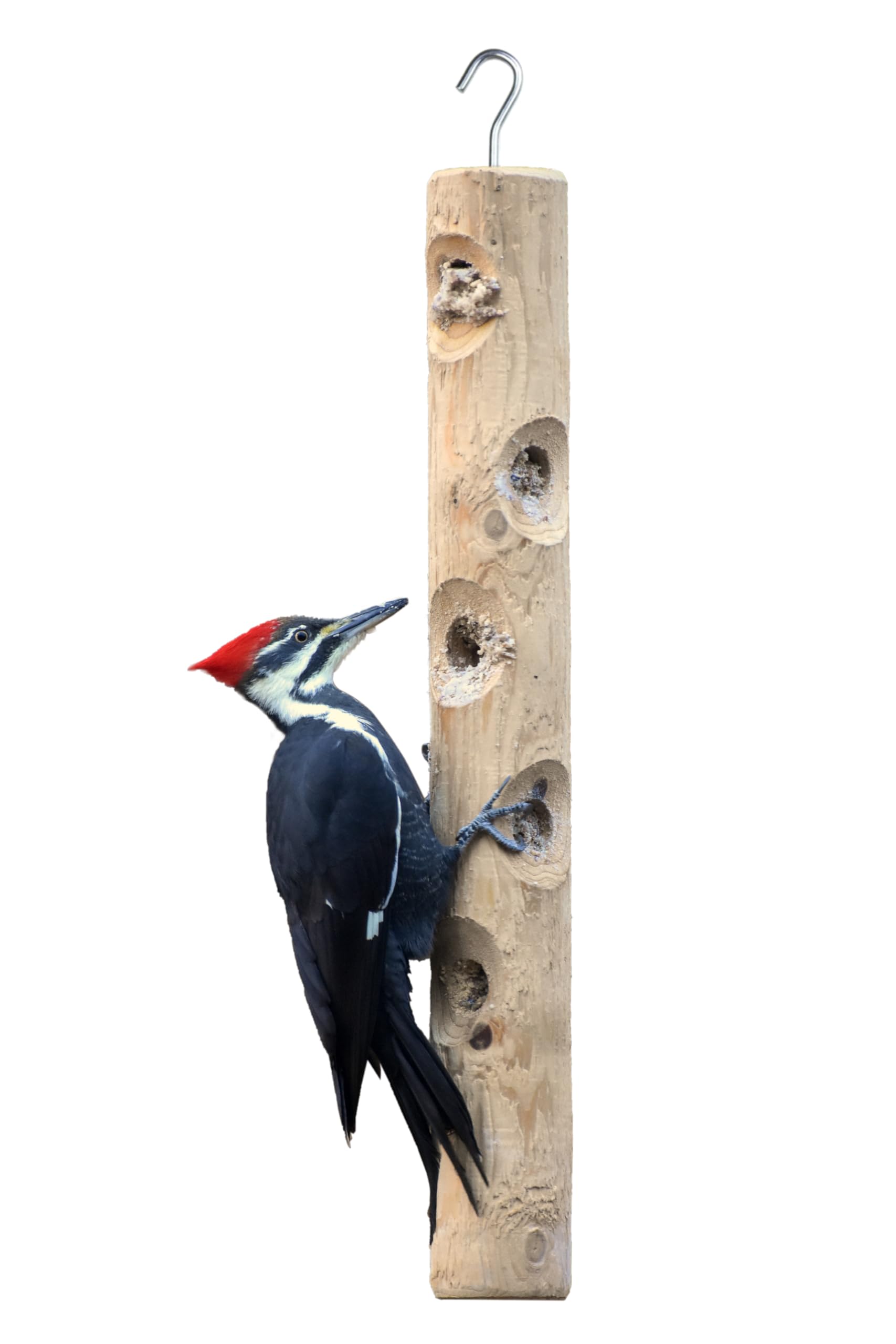 Kettle Moraine large cedar suet log feeder with eight holes for clinging birds