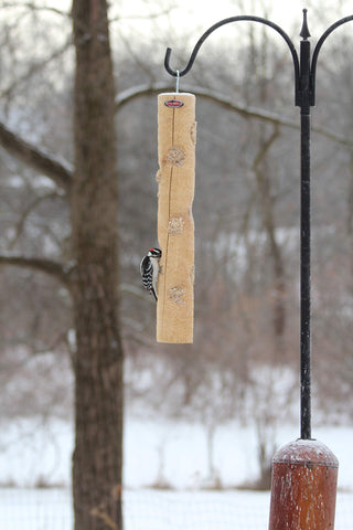 Kettle Moraine feeder designed for spreadable suet or peanut butter
