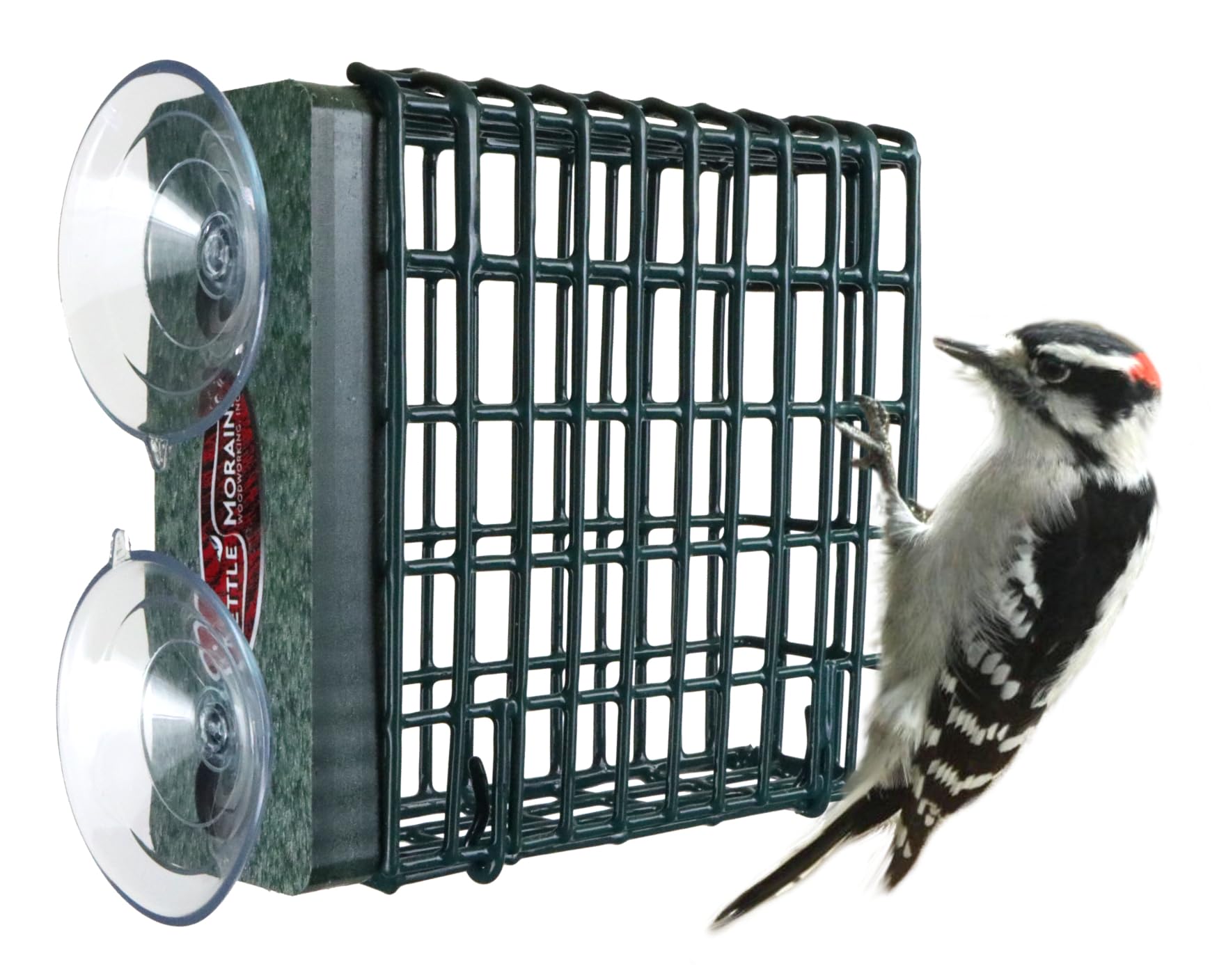 Kettle Moraine window-mount suet feeder offers easy woodpecker viewing from indoors