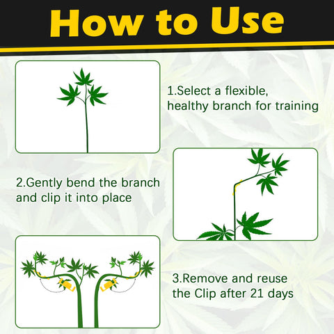 Keymarx LST clip widens canopy to boost light reach across bud sites.