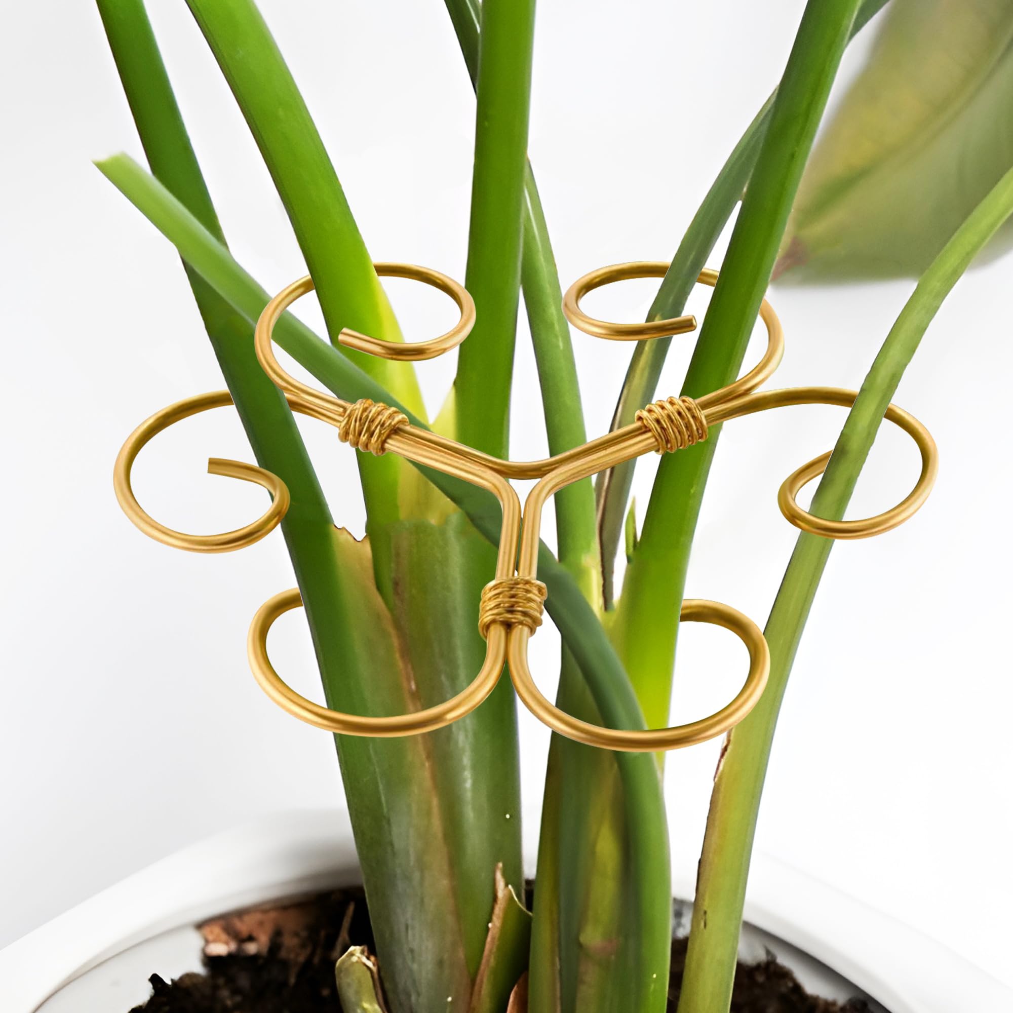 Kezzfpa iron Monstera stem support keeps an indoor plant upright and well-supported.