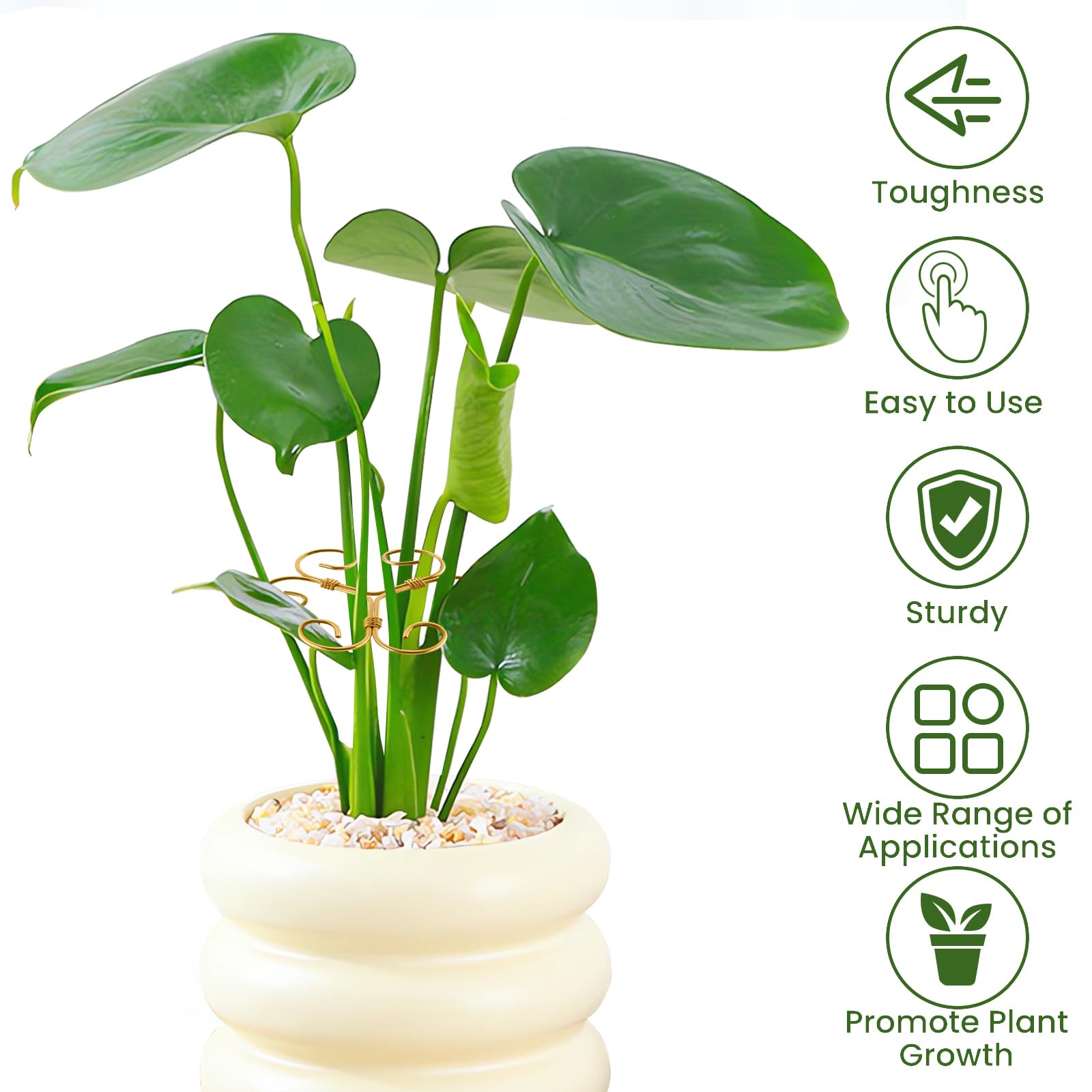 Kezzfpa turtle-shell bamboo clamp set secures stems without harming growth.
