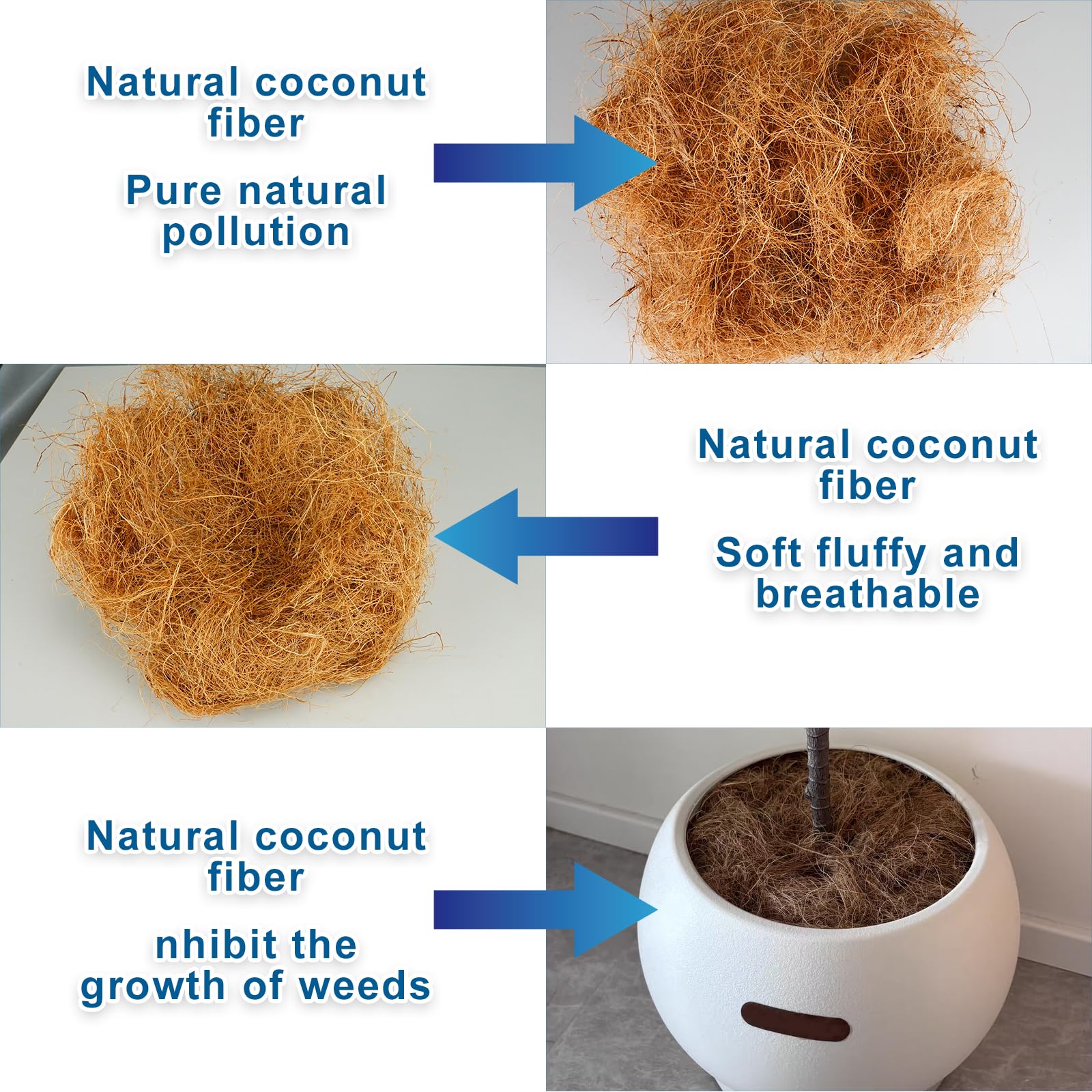 KFAREJGOAE coconut husk fiber mulch as moss cover substitute for orchid displays