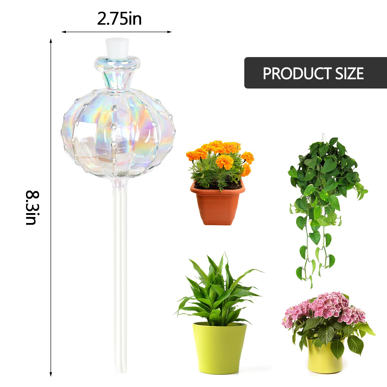 KGCCIZI rainbow cactus glass globe adds color and steady moisture to pots.