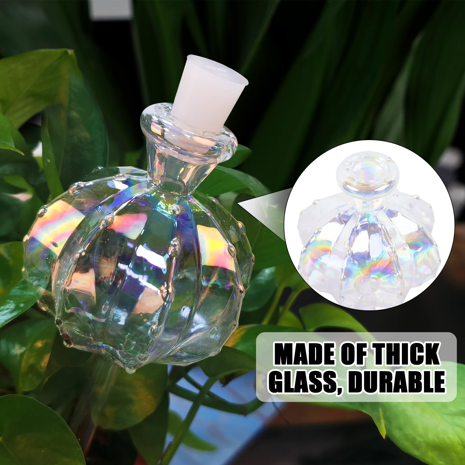 KGCCIZI glass globes are durable and travel-friendly for plant care on trips.