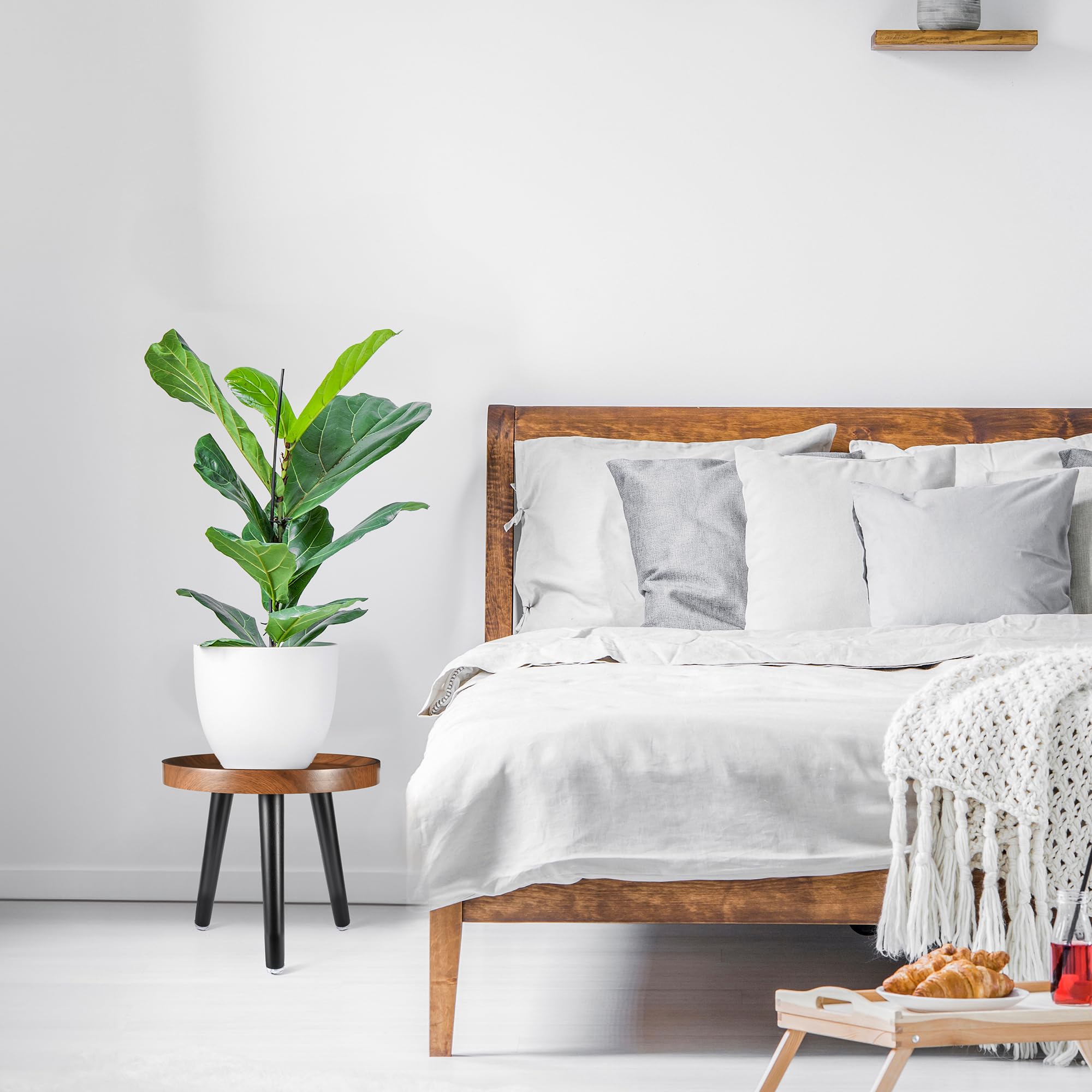KGPLOME round compact walnut plant table fits small spaces and elevates greenery.